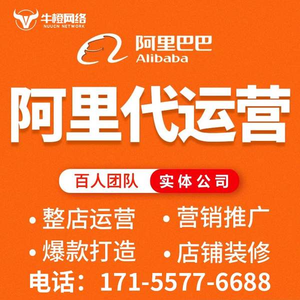 尚志电商代运营