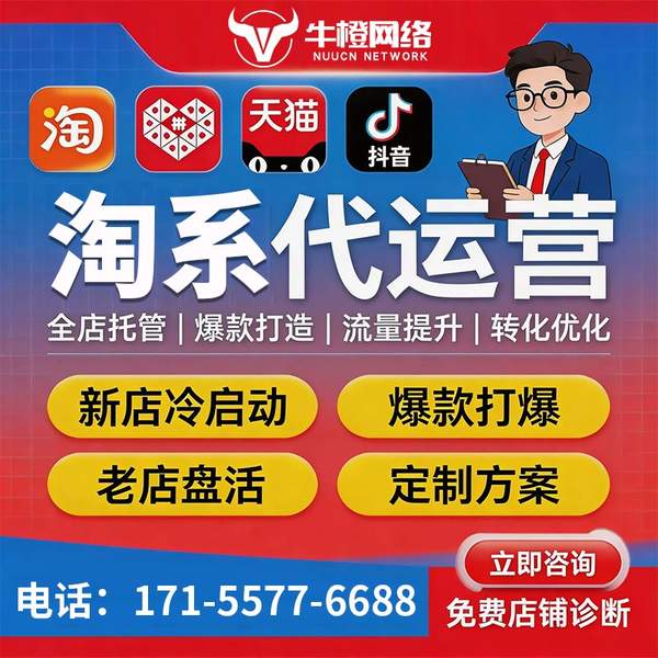 尚志电商代运营