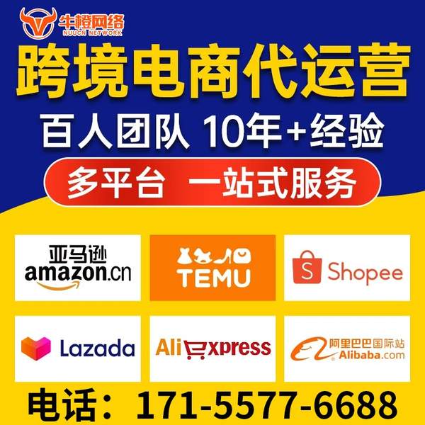 尚志电商代运营