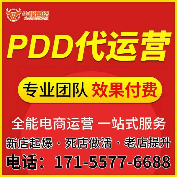 尚志电商代运营