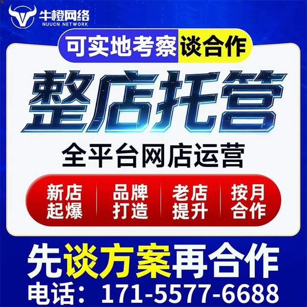 尚志电商代运营