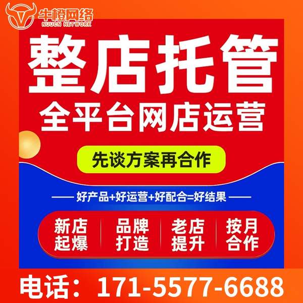 尚志电商代运营