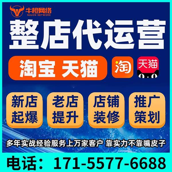 尚志电商代运营