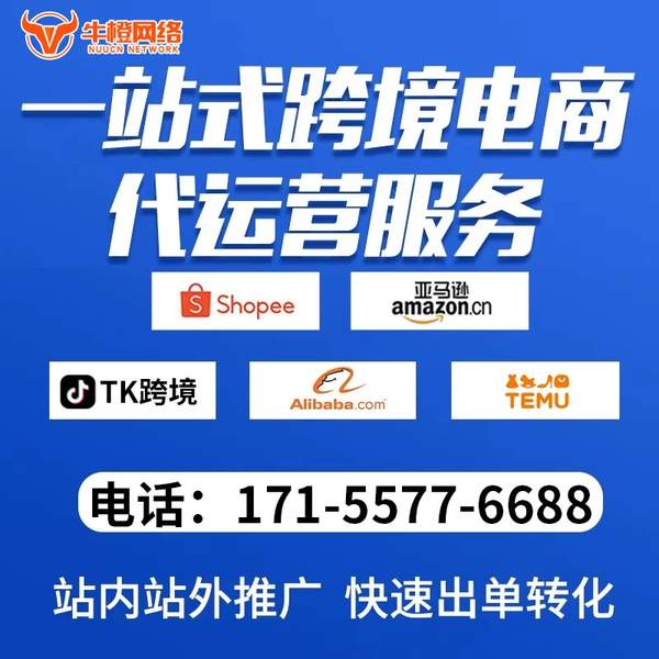 尚志电商代运营