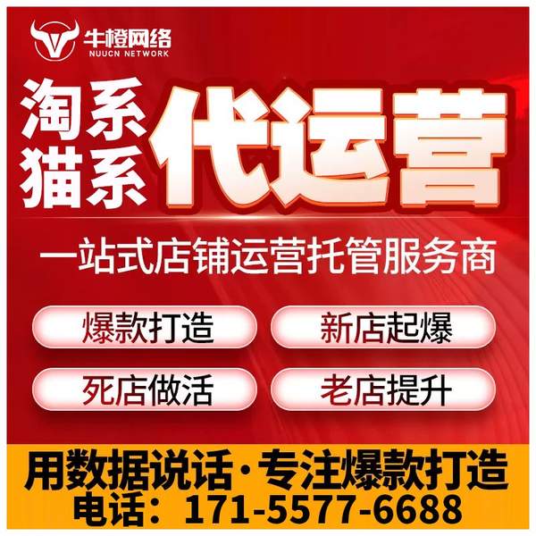尚志电商代运营